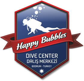 HappyBubbles Logo